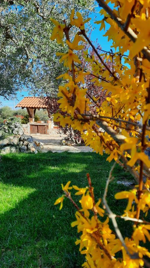 La Rosa Dei Trulli B&B Alberobello Eksteriør bilde