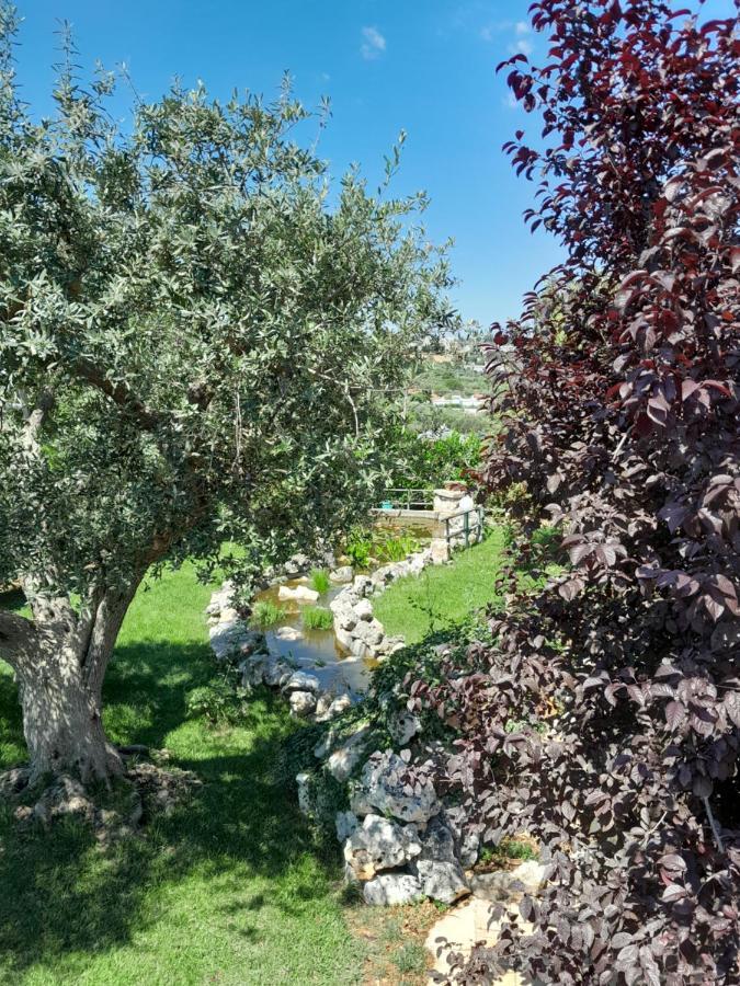 La Rosa Dei Trulli B&B Alberobello Eksteriør bilde