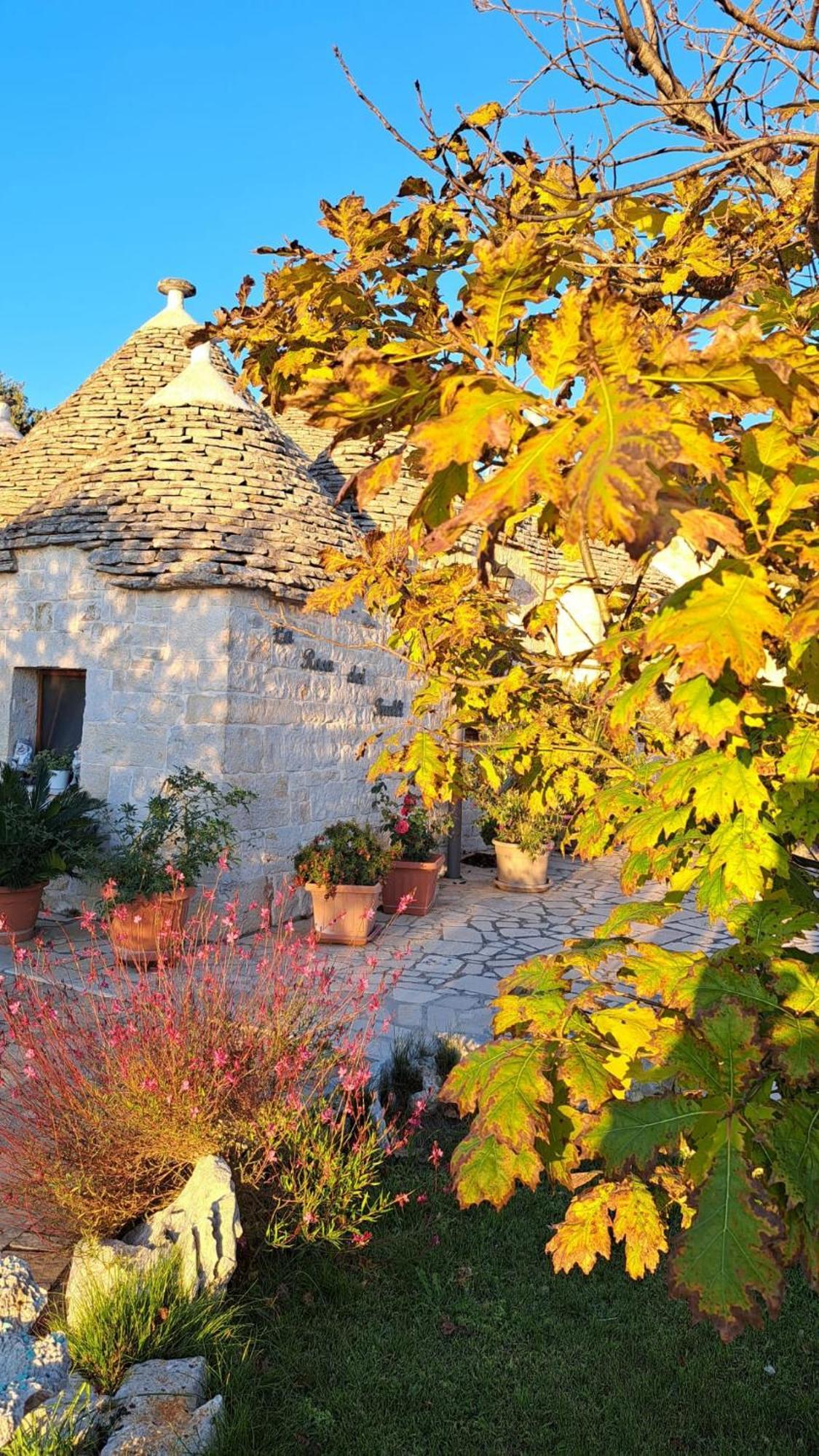 La Rosa Dei Trulli B&B Alberobello Eksteriør bilde