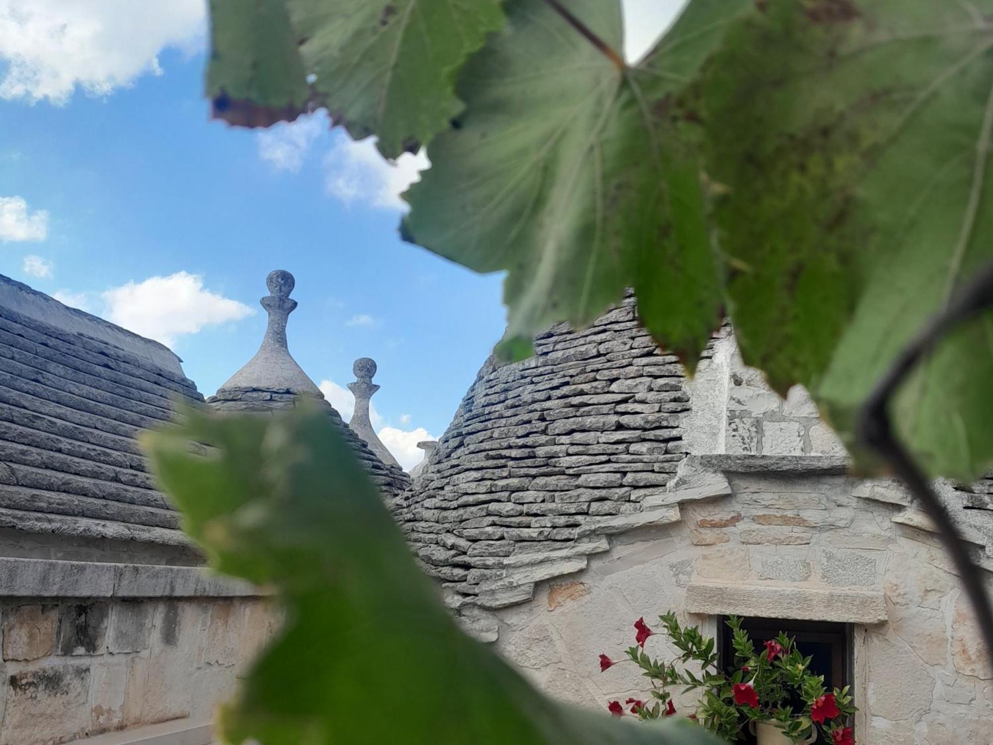 La Rosa Dei Trulli B&B Alberobello Eksteriør bilde