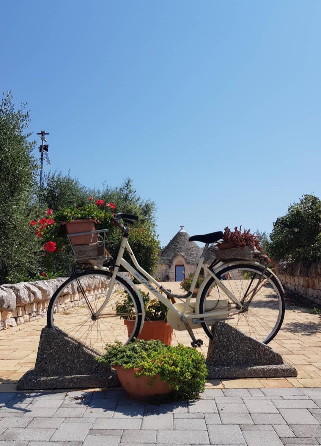 La Rosa Dei Trulli B&B Alberobello Eksteriør bilde