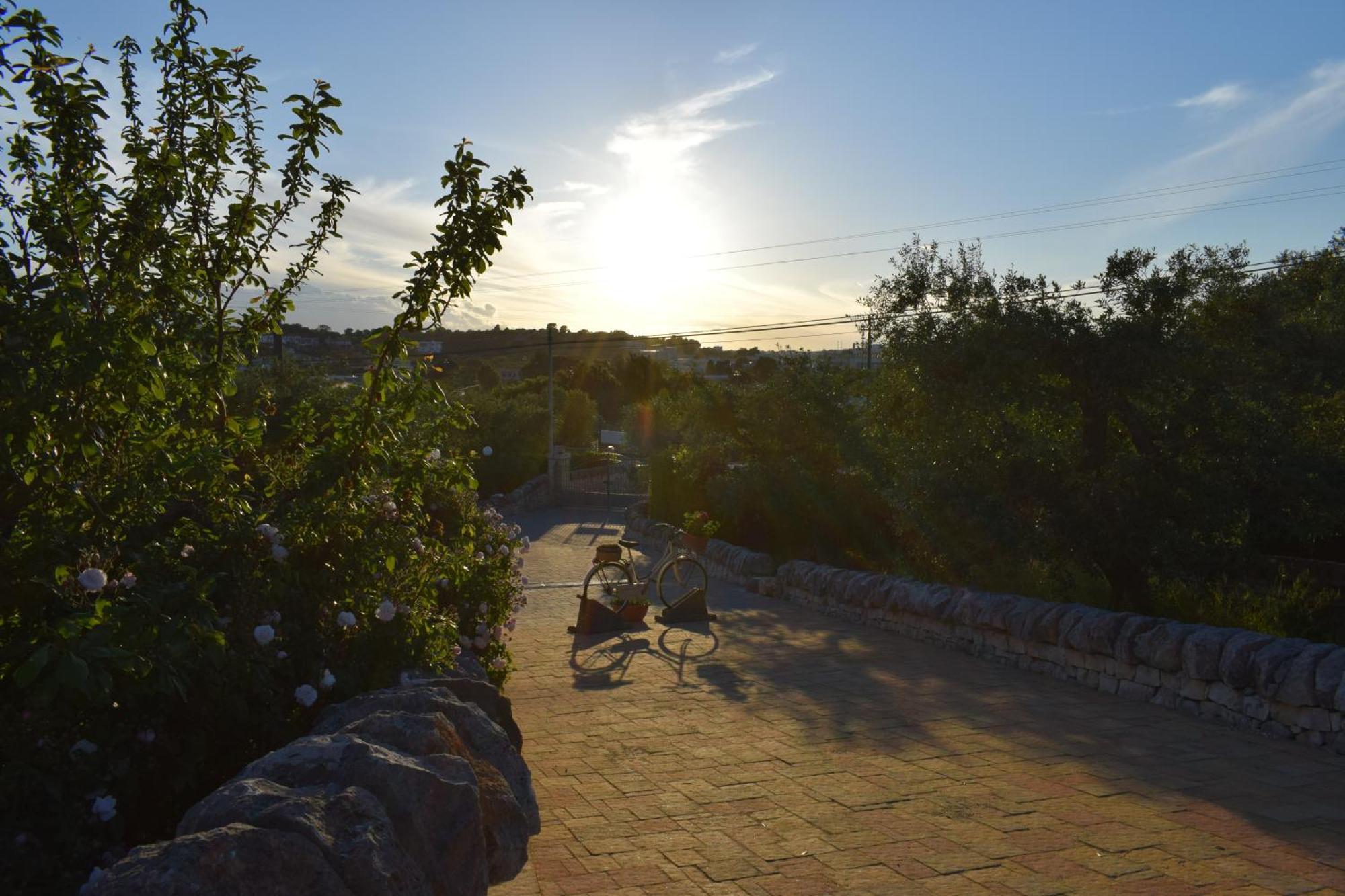 La Rosa Dei Trulli B&B Alberobello Eksteriør bilde