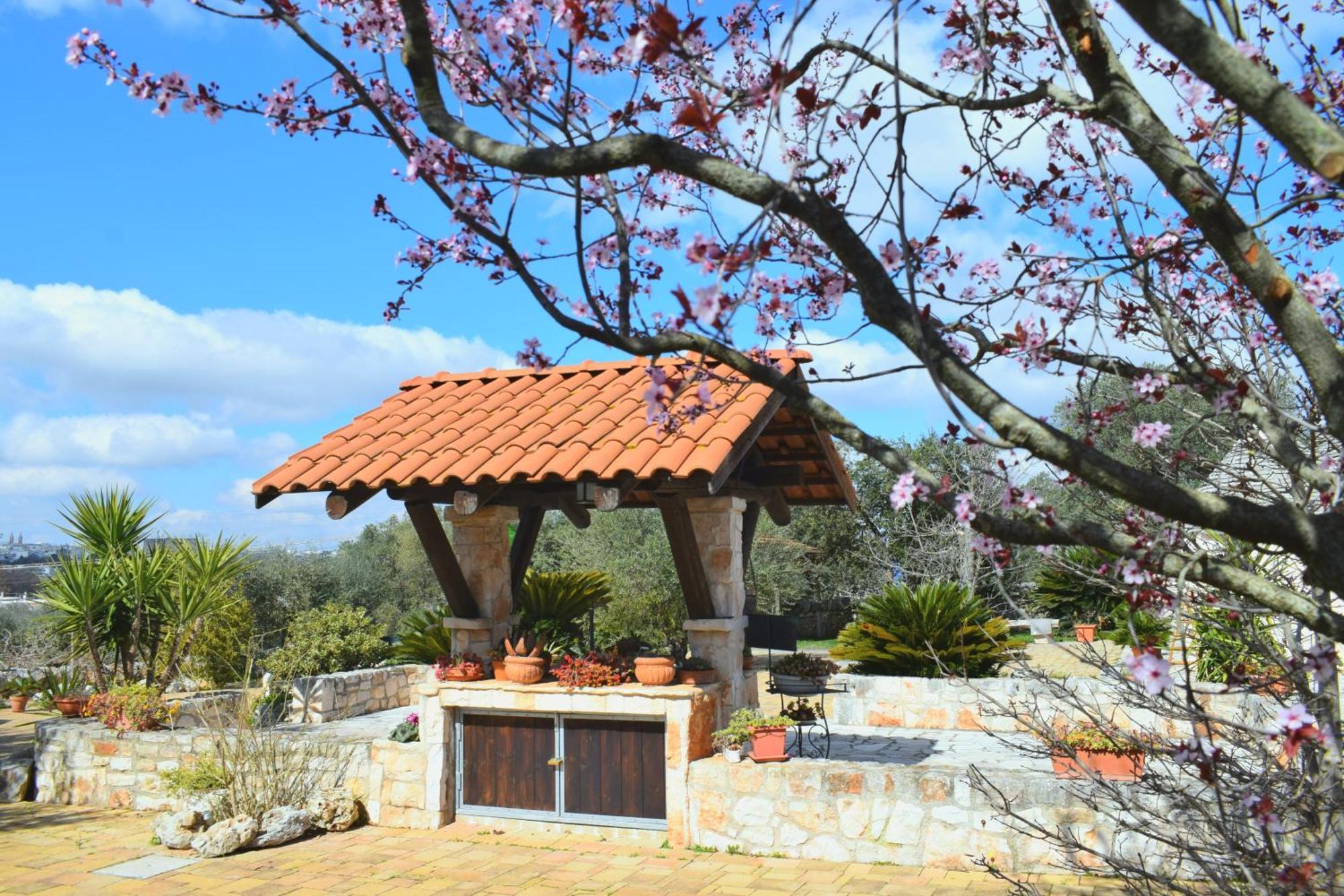 La Rosa Dei Trulli B&B Alberobello Eksteriør bilde
