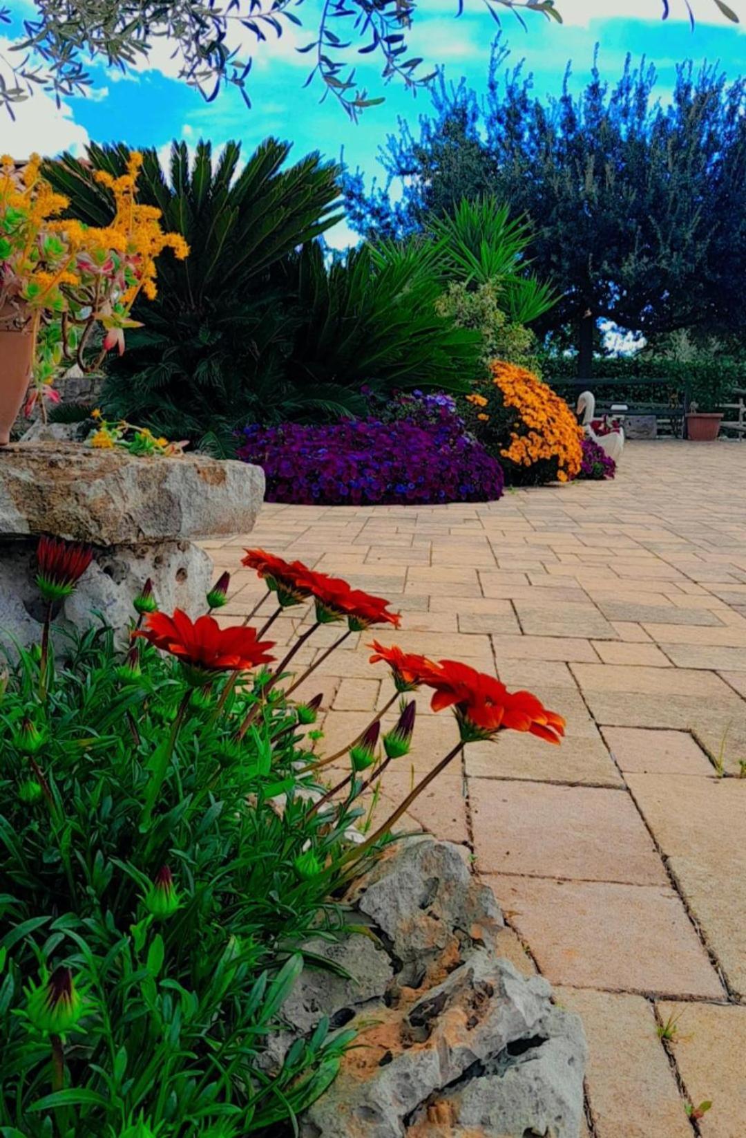 La Rosa Dei Trulli B&B Alberobello Eksteriør bilde