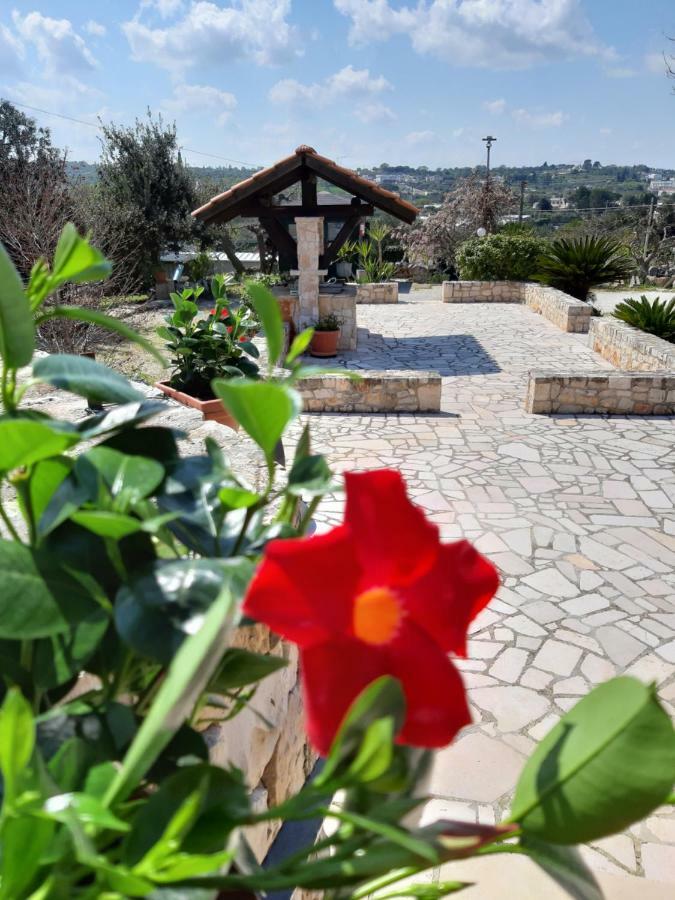La Rosa Dei Trulli B&B Alberobello Eksteriør bilde
